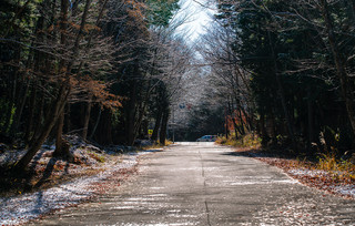 Aokigahara Fuji Aokigahara Fuji