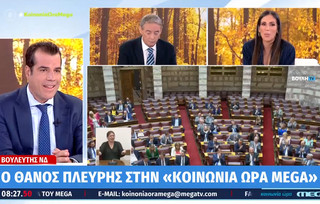 Θάνος Πλεύρης Θάνος Πλεύρης