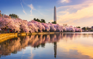 Washington Monument Washington Monument