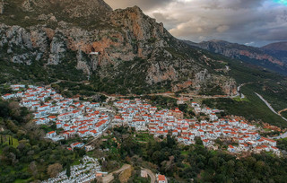 Βελανιδιά Λακωνία Βελανιδιά Λακωνία