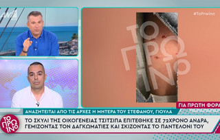 Το σκυλί της οικογένειας Τσιτσιπά επιτέθηκε σε 72χρονο άνδρα Το σκυλί της οικογένειας Τσιτσιπά επιτέθηκε σε 72χρονο άνδρα