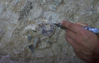 Israel Ancient Burial Site Israel Ancient Burial Site