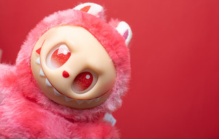 Labubu Labubu