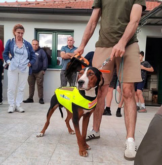 Γιλέκα με καρφιά για κυνηγόσκυλα για να γλυτώνουν από δαγκώματα λύκων