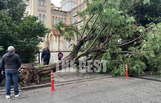 Πάτρα: Ξεριζώθηκαν κι έσπασαν πάνω από δέκα δέντρα από τον αέρα στον περίβολο του Αγίου Ανδρέα