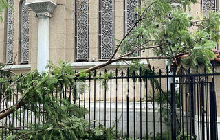 Πάτρα: Ξεριζώθηκαν κι έσπασαν πάνω από δέκα δέντρα από τον αέρα στον περίβολο του Αγίου Ανδρέα