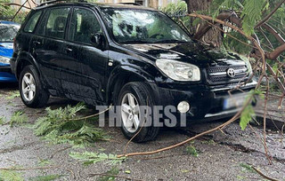 Πάτρα: Ξεριζώθηκαν κι έσπασαν πάνω από δέκα δέντρα από τον αέρα στον περίβολο του Αγίου Ανδρέα