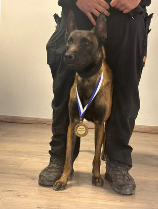 Σκύλος Ανούβις