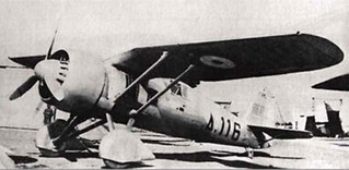 P.Z.L. P.24F/G