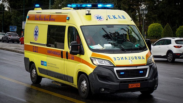 Mystery Animal Attacks 4-Year-Old Girl in Thessaloniki