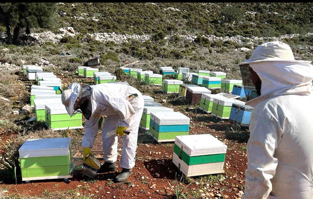 Υψηλά ποσοστά μη συμμόρφωσης στους ελέγχους για την ένταξη σε προγράμματα βιολογικής μελισσοκομίας και κτηνοτροφίας
