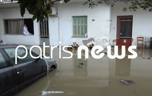 Θεομηνία «χτύπησε» τον Πύργο Ηλείας: Πλημμύρισαν οι δρόμοι, εγκλωβίστηκε οικογένεια σε σπίτι, σκοτώθηκαν ζώα