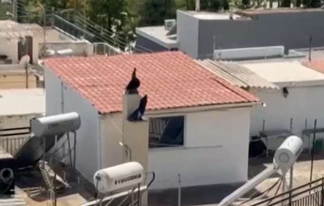 Ποινή 16 μηνών με αναστολή στους δύο γονείς του Περιστερίου | Κοινωνία στο PlusTV.gr