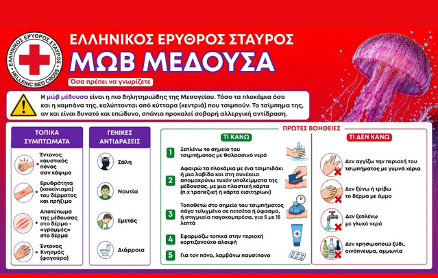 Καλοκαίρι με ασφάλεια: Τι να κάνετε αν σας τσιμπήσει μωβ μέδουσα | Υγεία στο PlusTV.gr