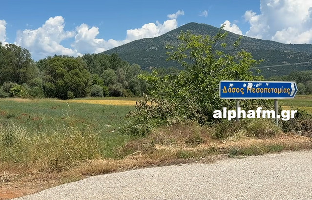 Ανείπωτη τραγωδία στην Καστοριά: Νεκρός 16χρονος απο τροχαίο με αγροτικό στο οποίο επέβαιναν 8 άτομα