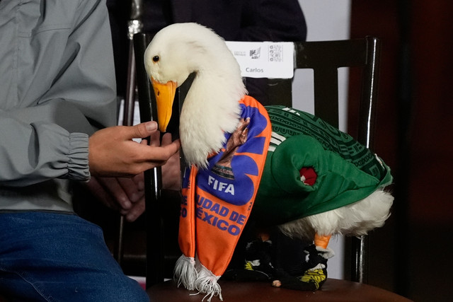 Μουντιάλ 2026: Η FIFA απαγόρευσε στη διάσημη πάπια, Μέρλιν να μπει στο γήπεδο | Αθλητικά στο PlusTV.gr