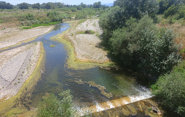 Ανησυχητική η μείωση της ροής του Πηνειού ποταμού: Πώς εξηγείται το φαινόμενο