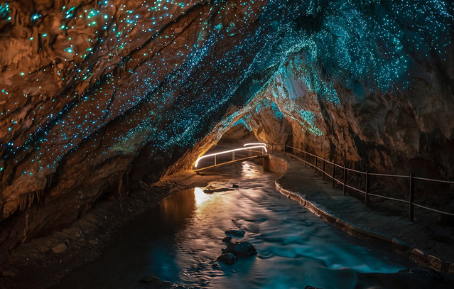 Waitomo Glowworm Caves: Το φωτεινό θαύμα στα έγκατα της Νέας Ζηλανδίας και η ιστορία των Μαορί