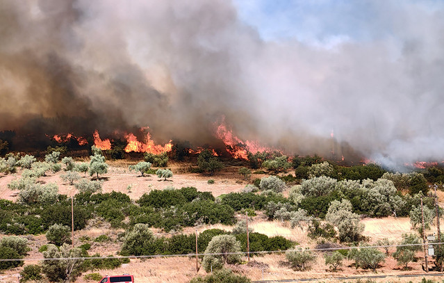 Πέντε συλλήψεις για πυρκαγιές σε Νέα Μάκρη, Πρέβεζα, Εύβοια, Χίο και Άγιο Όρος – Μία έβαλε 80χρονη που άναψε καντήλι σε νεκροταφείο