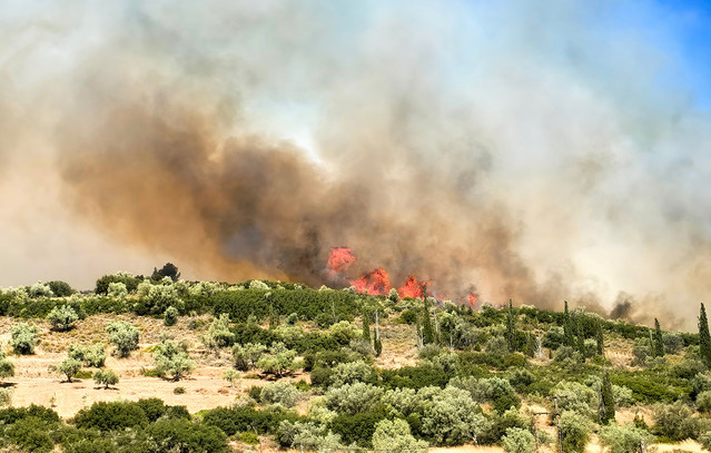 Greek minister warns wildfire conditions are dynamite