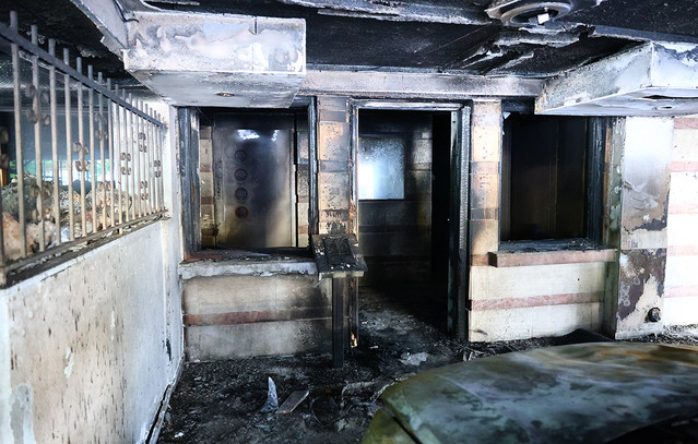 «Είναι δολοφόνοι, το γκαζάκι είναι σαν σφαίρα»: Συγκλονίζει ο σύζυγος της Βάγιας Νέστορα για τον θάνατό της