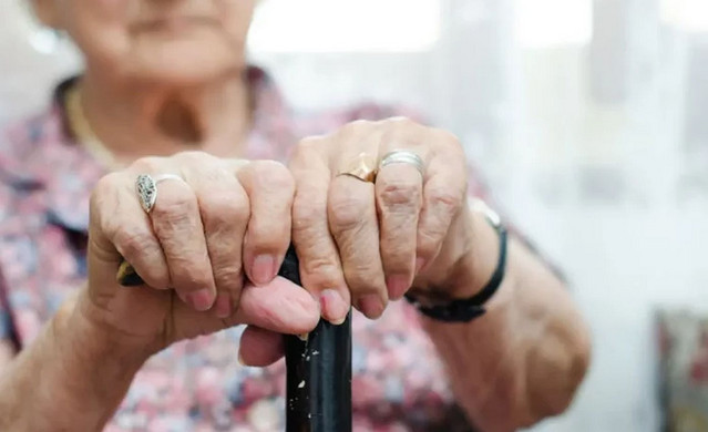 Στα χέρια της Αστυνομίας σπείρα Ρομά που εξαπατούσε ηλικιωμένες παριστάνοντας τεχνικούς του ΔΕΔΔΗΕ στη Λαμία