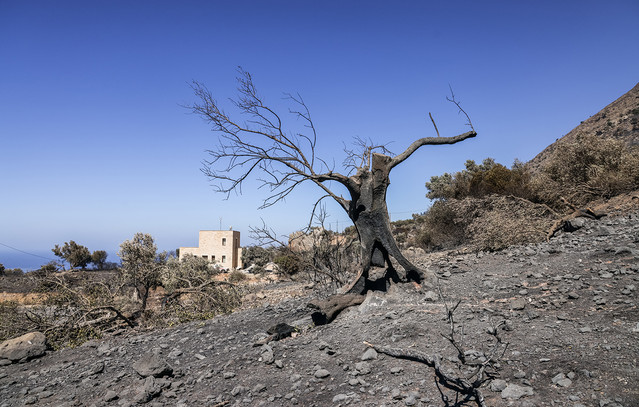 11 συλλήψεις σε όλη τη χώρα για τις φωτιές – Αφέθηκαν ελεύθεροι οι συλληφθέντες στην Πάρο | Κοινωνία στο PlusTV.gr