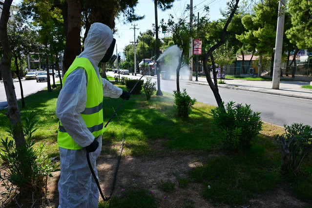 Ιός Δυτικού Νείλου: Πρώτο κρούσμα στην Κρήτη – Στη ΜΕΘ 63χρονη – Εντείνονται οι ψεκασμοί | Υγεία στο PlusTV.gr