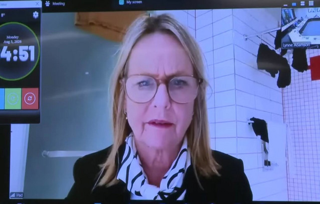 Dunedin councillor Jo Galer joins Zoom call from bathroom