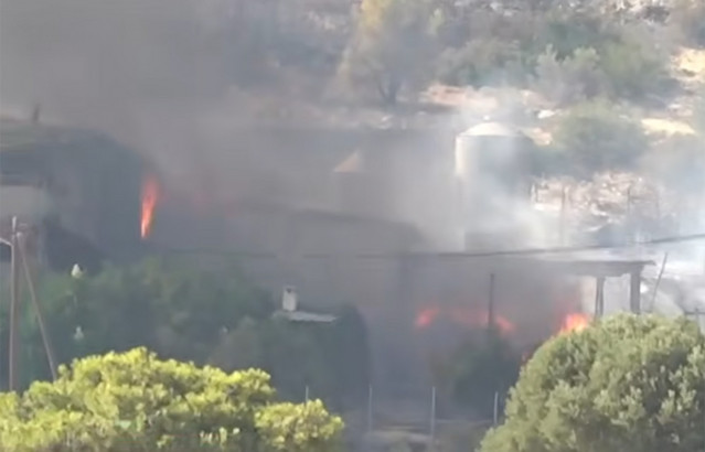 Fire Kills 1,000 Animals at Megara Farm in Greece