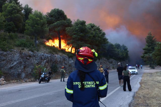 Firefighters Battle All-Night Blazes in Attica-Boeotia and Fokida