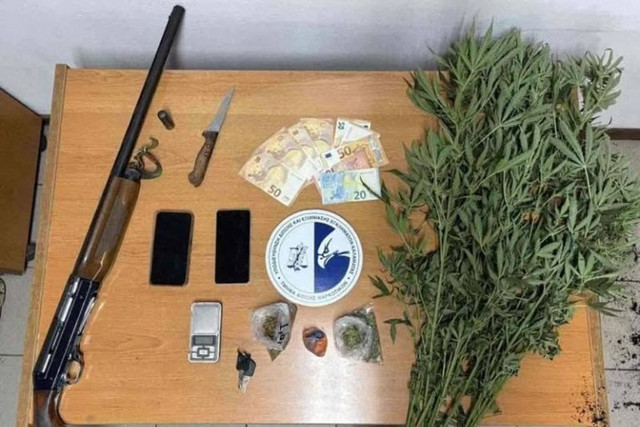 Εντοπίστηκε φυτεία με 267 δενδρύλλια κάνναβης στη Μεσσηνία – Τρεις συλλήψεις | Κοινωνία στο PlusTV.gr