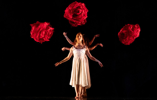 MOMIX: Οι μάγοι του χορού επιστρέφουν, ζωντανεύοντας την Αλίκη στη Χώρα των Θαυμάτων | Ψυχαγωγία στο PlusTV.gr