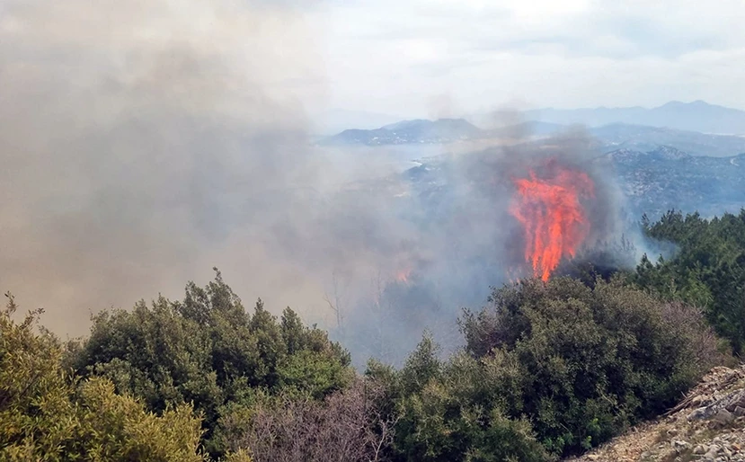 https://www.newsbeast.gr/image/s830x/webp/file/files/1/2022/03/Moni_vronta_samos3.jpg