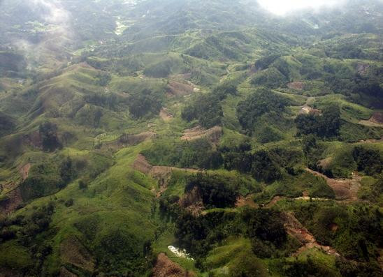 Η αποψίλωση των δασών… «πολτοποιεί» τον πλανήτη