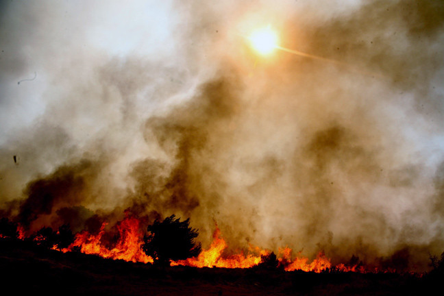 Πυρκαγιά σε δασική έκταση στο Λαγονήσι