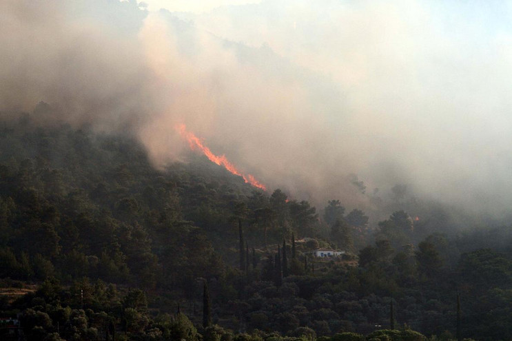 Μηχανόβιοι πυροσβέστες θα «οργώνουν» τα δάση