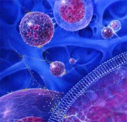 Βλαστικά κύτταρα για την θεραπεία της οστεοαρθρίτιδας