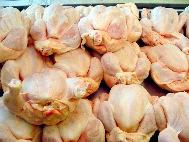 Κατασχέθηκαν 67 κιλά ακατάλληλων κοτόπουλων