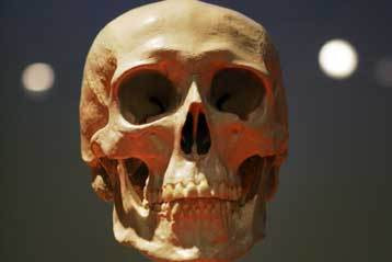 Πρόγονος του ανθρώπου ηλικίας 3,58 εκατ. ετών
