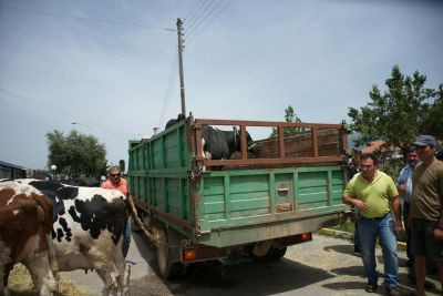 Πανελλαδικό συλλαλητήριο κτηνοτρόφων