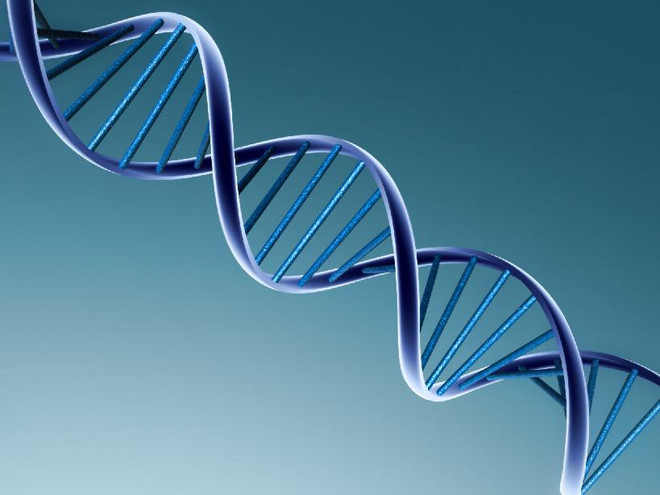 Βρέθηκε DNA με τετραπλή έλικα