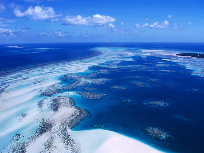 «Απαγορευμένες» θαλάσσιες ζώνες για την προστασία των κοραλλιογενών υφάλων