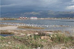 «Αργοπεθαίνει» ο υδροβιότοπος της λίμνης του Δύστου