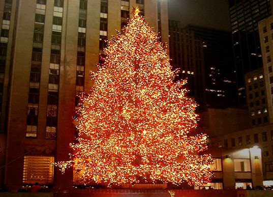 Ο στολισμός του πιο διάσημου Χριστουγεννιάτικου δέντρου