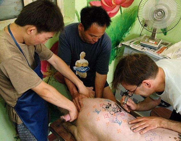 Τατουάζ Luis Vuitton σε γουρουνάκια