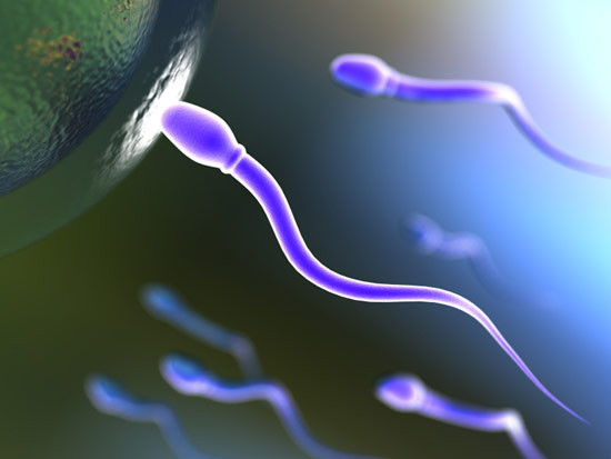 Ο αυτισμός μπορεί να «κρύβεται» στο σπέρμα