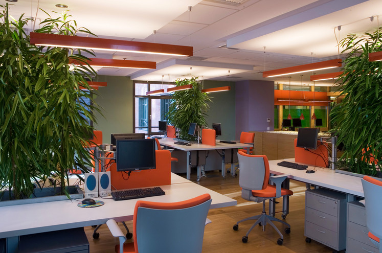 Τα «πράσινα» γραφεία αυξάνουν την παραγωγικότητα