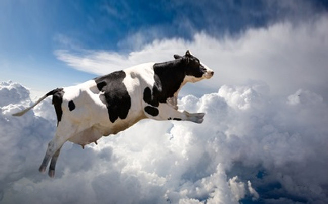 Τράκαρε με μια αγελάδα εξ ουρανού