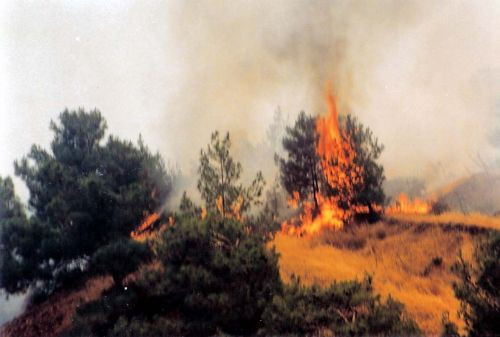 Σε εξέλιξη πυρκαγιές σε Θεσσαλονίκη και Μεσσηνία